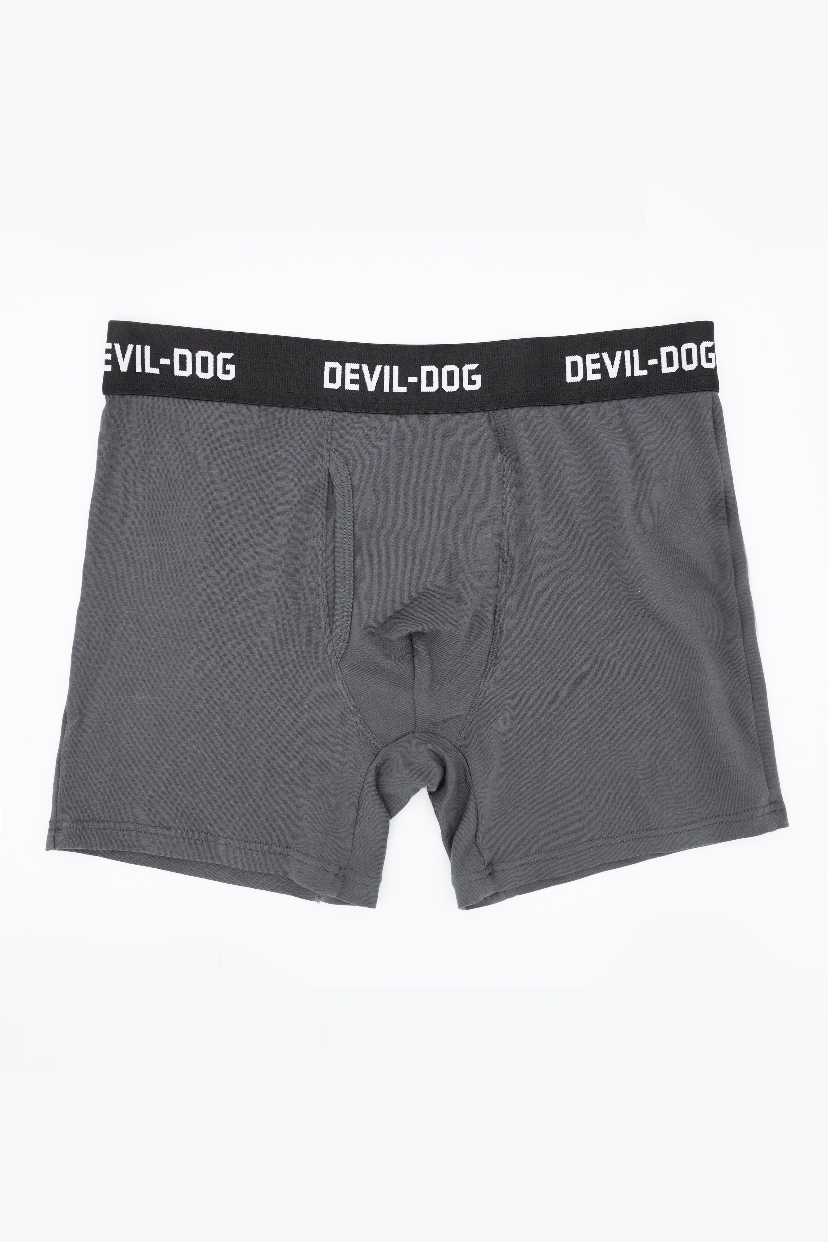 Boxer Brief All-Around Logo - Dark Gray